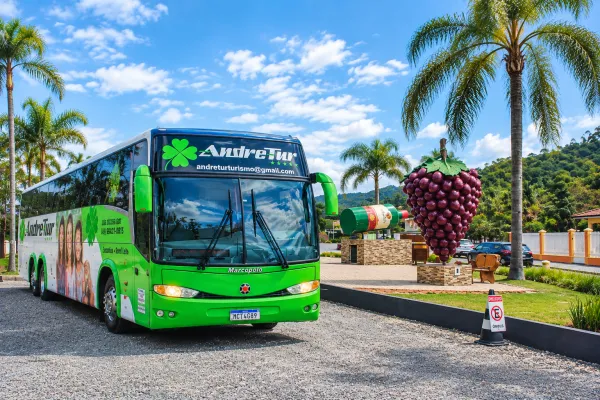 Ônibus para viagens ao litoral, parques e eventos